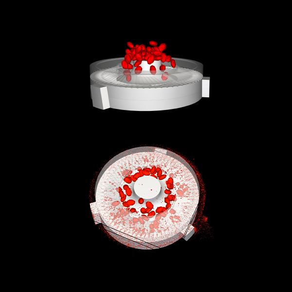 Simulation Design