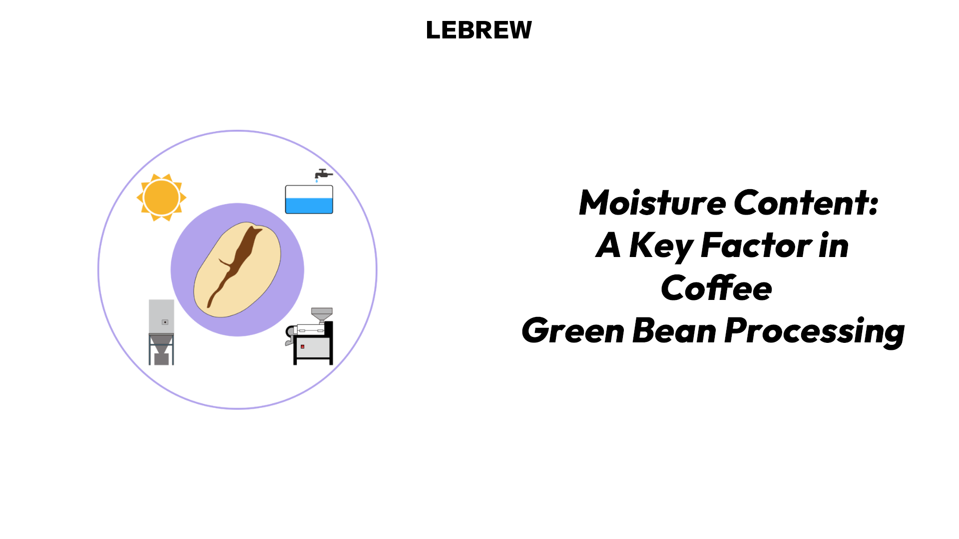 Moisture Content：A Key Factor in Green Coffee Processing