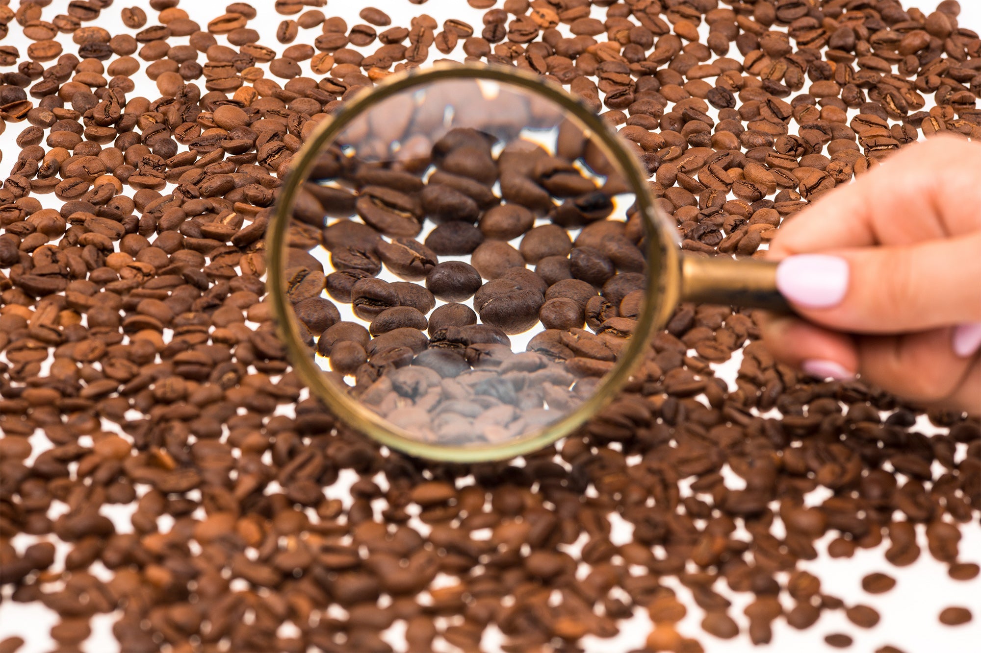 Exploring  coffee roasting