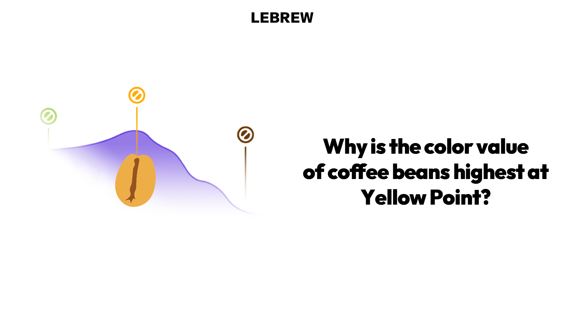 Why is the color value of coffee beans highest at Yellow Point?